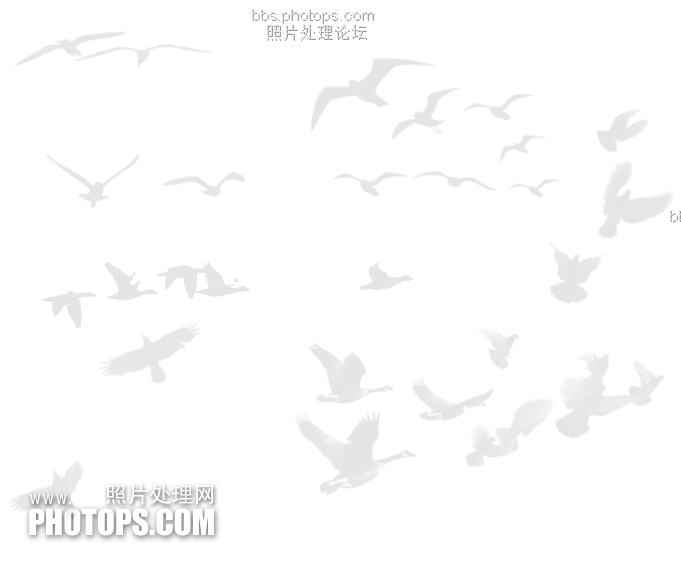 空中飞鸟,鸟群ps笔刷