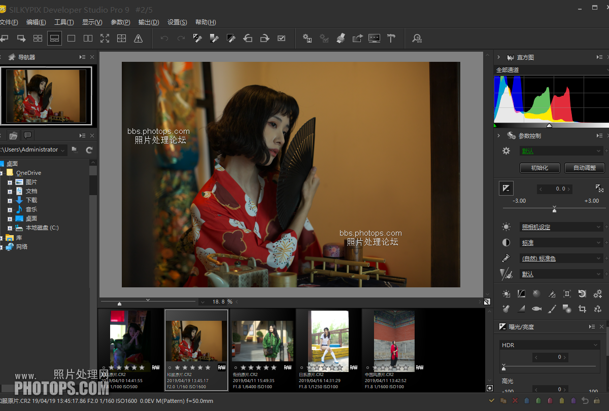 SILKYPIX Developer Studio Pro 9.0.14.0 Win